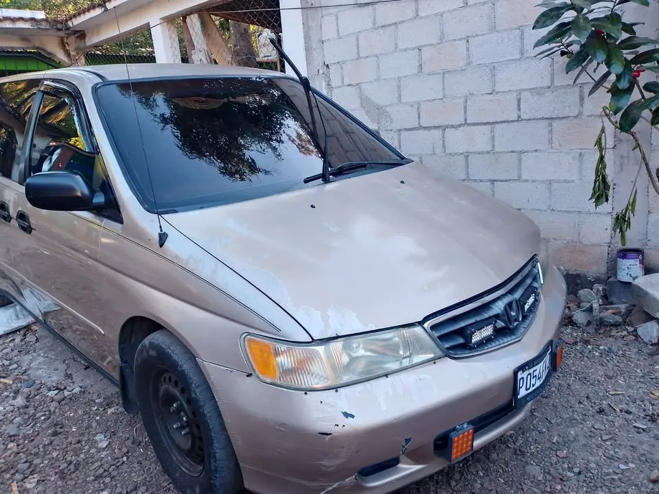 Foto 1