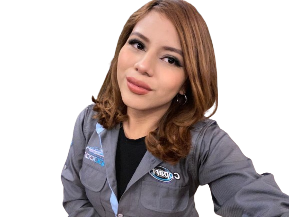 Car's agent